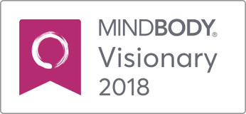 MIndBody Visionary Award Winner 2018 